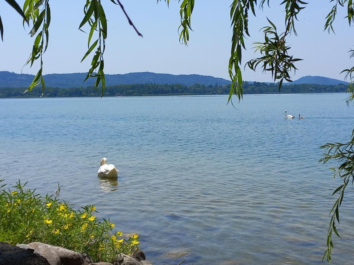 Appartamento Miralago Con Giardino Sul Lago Gavirate Exterior photo