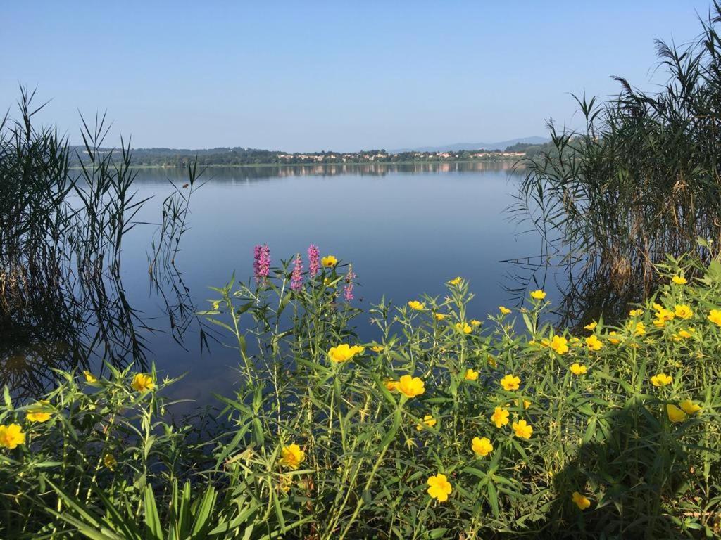 Appartamento Miralago Con Giardino Sul Lago Gavirate Exterior photo